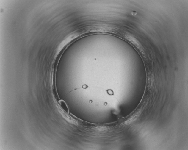 X0000087391130200704201235