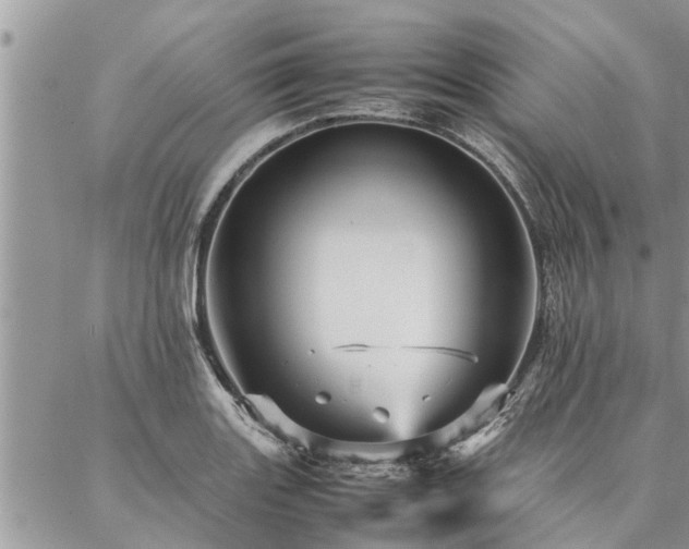 X0000087391131200704201235