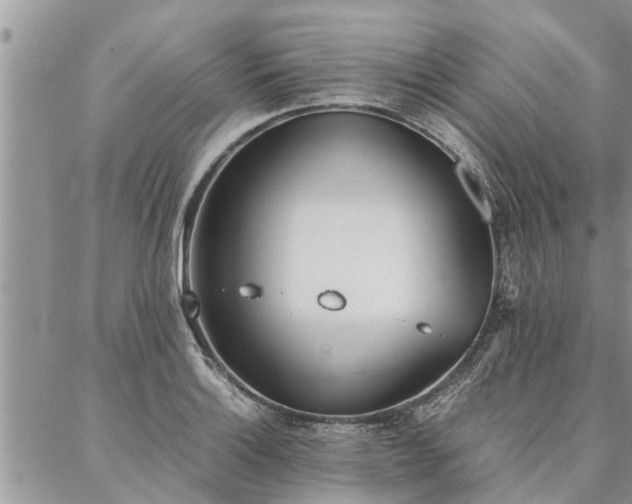 X0000087391132200704201235