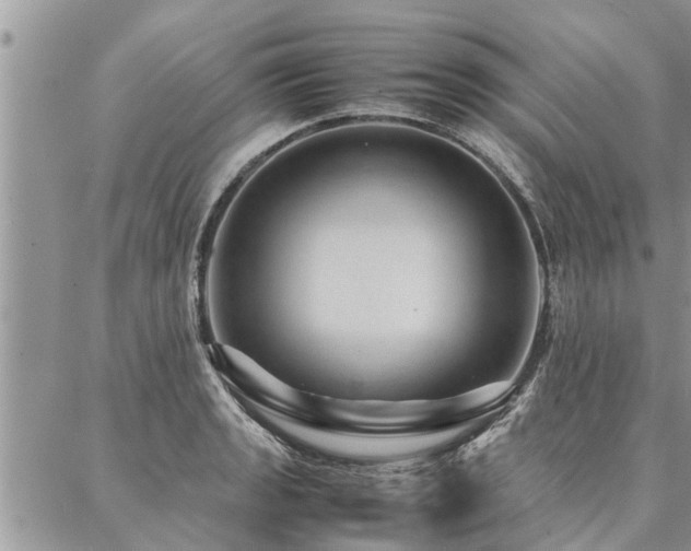 X0000087391133200704201235