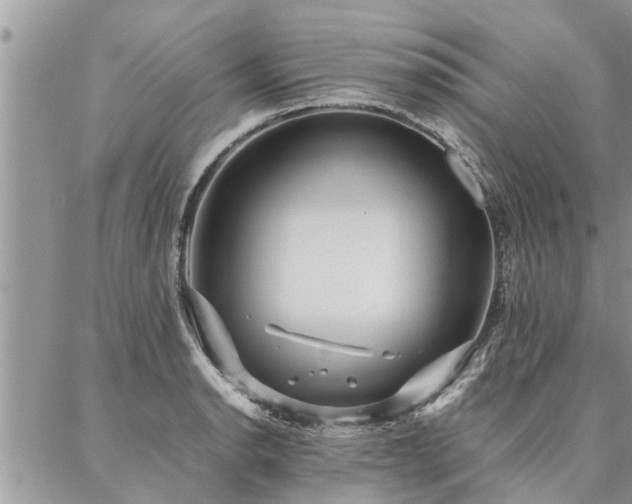 X0000087391134200704201235