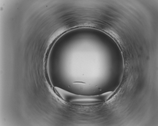 X0000087391135200704201236