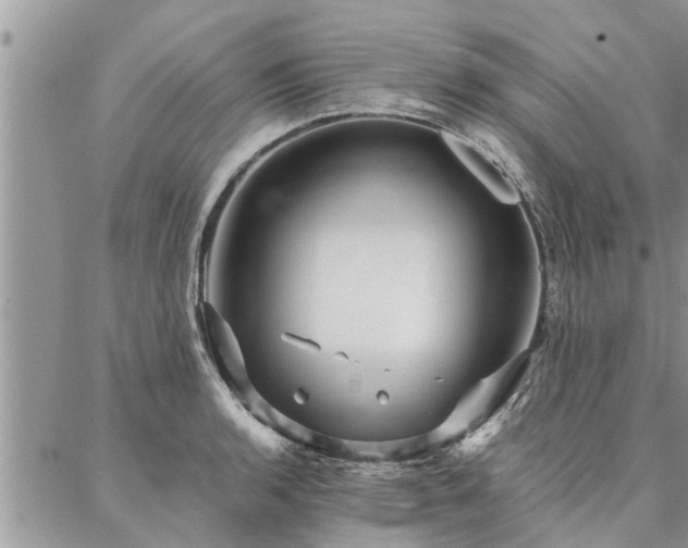 X0000087391136200704201236