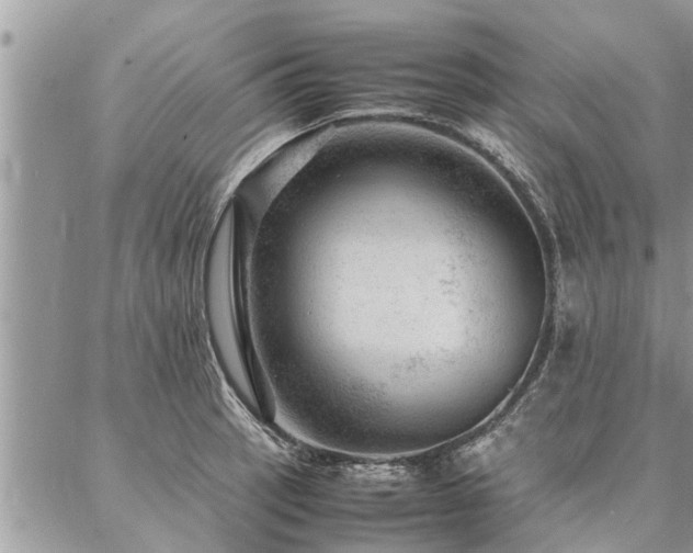 X0000087391137200704201236