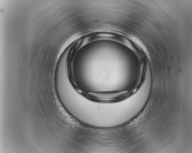 X0000087391138200704201236