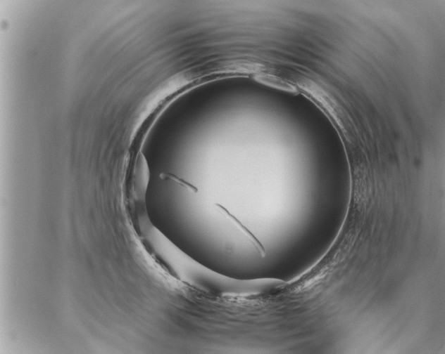 X0000087391139200704201236