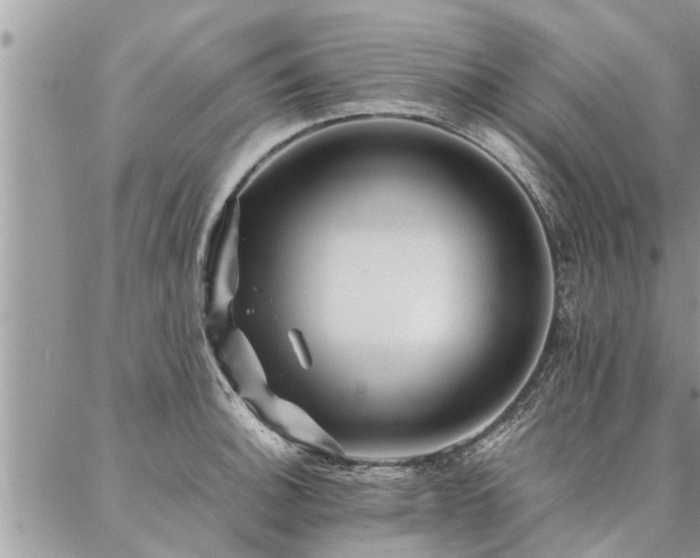 X0000087391140200704201236