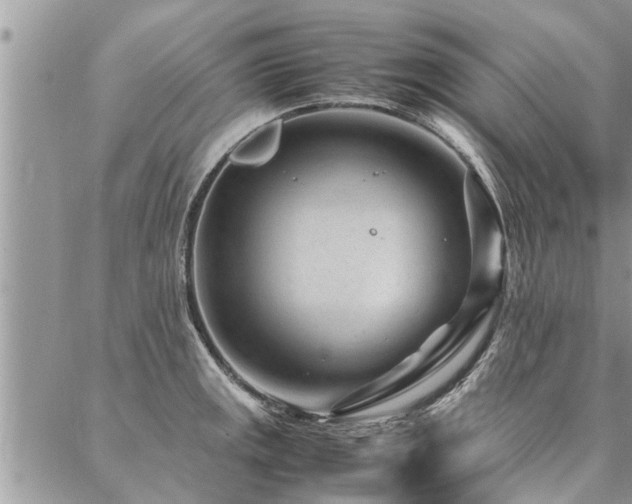 X0000087391141200704201236