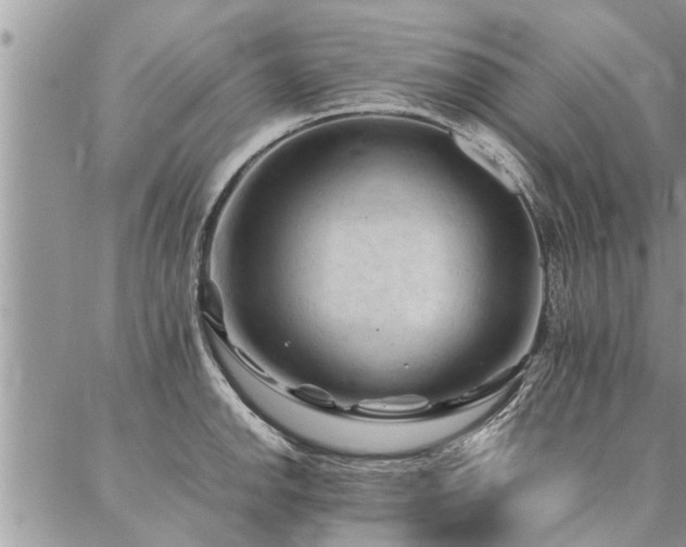 X0000087391142200704201236