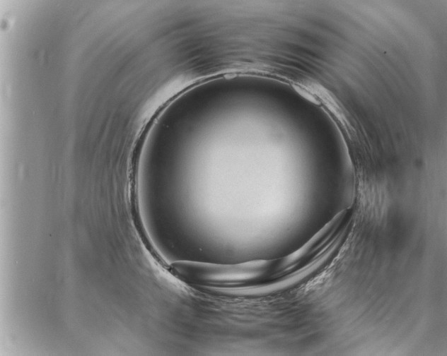 X0000087391143200704201236