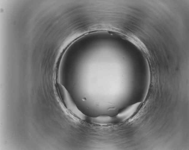 X0000087391144200704201236