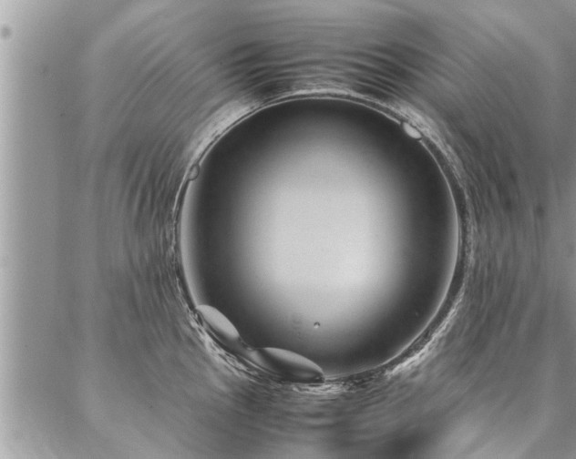 X0000087391145200704201236