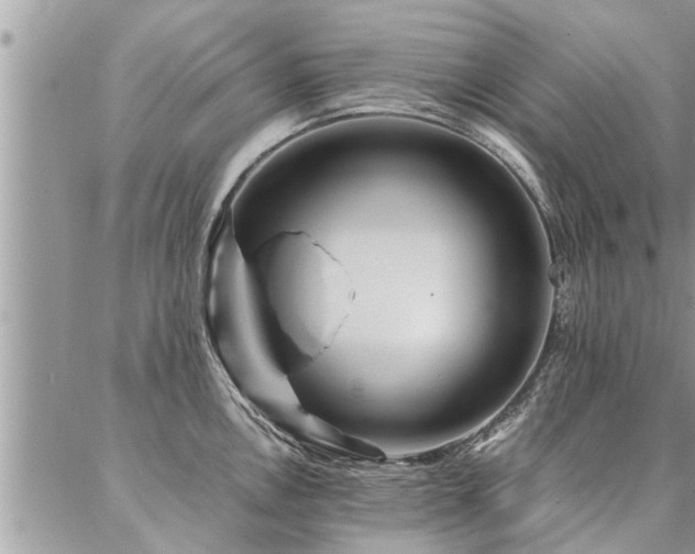 X0000087391146200704201236