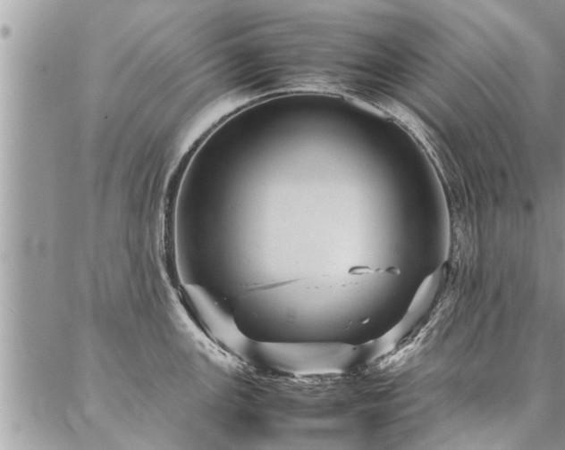 X0000087391147200704201236