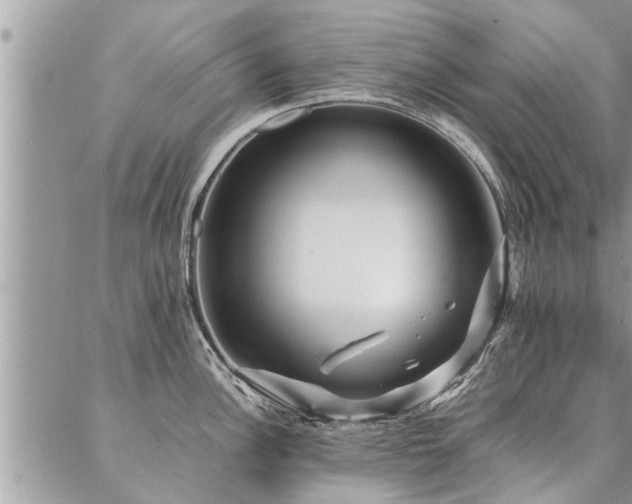 X0000087391148200704201236