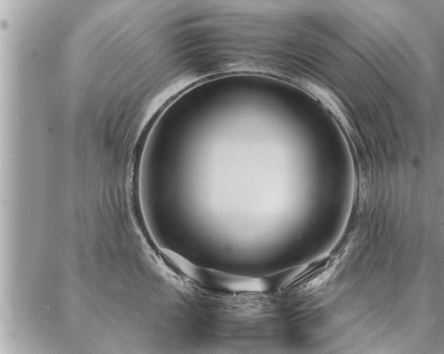 X0000087391149200704201236