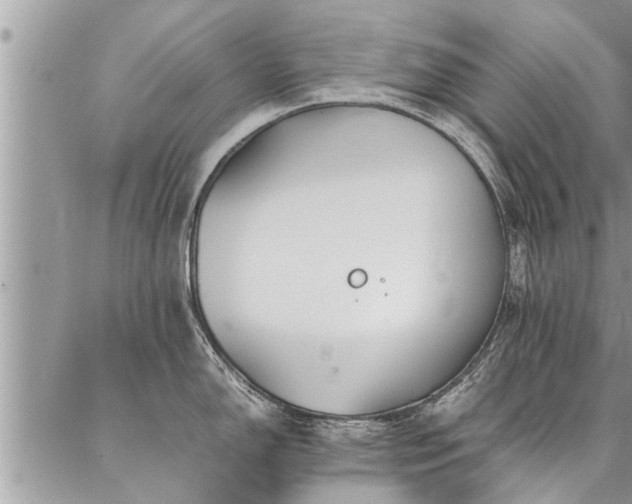 X0000087391150200704201236