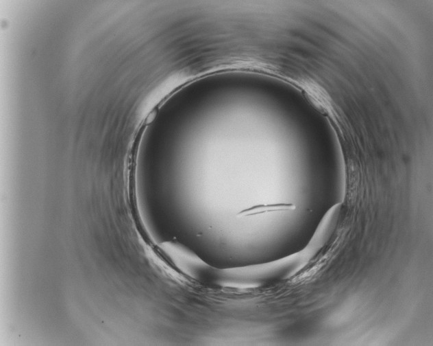 X0000087391151200704201236