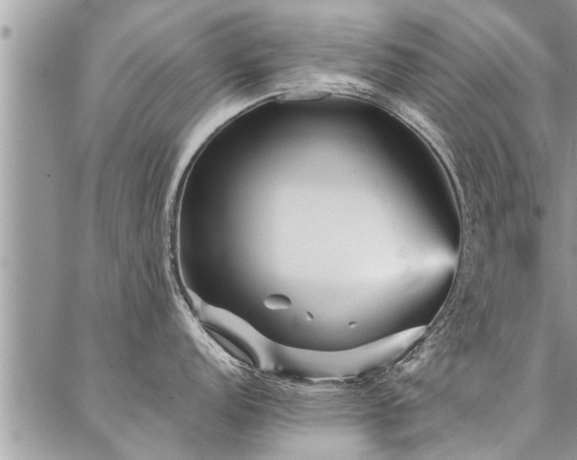 X0000087391152200704201236