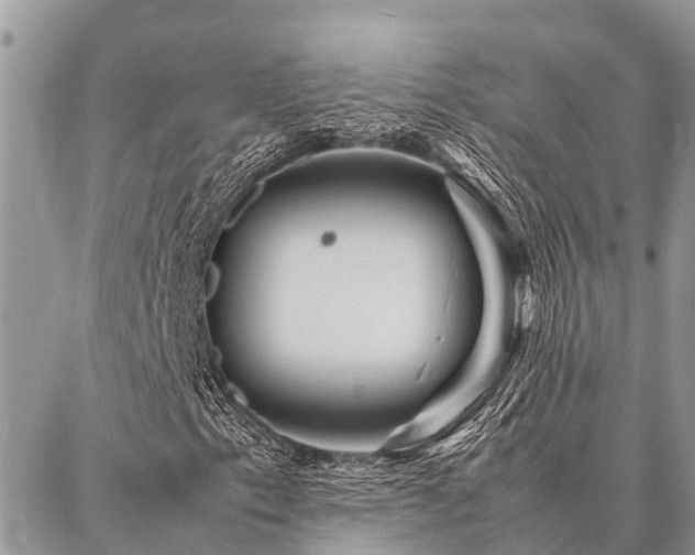 X0000087391153200704201235