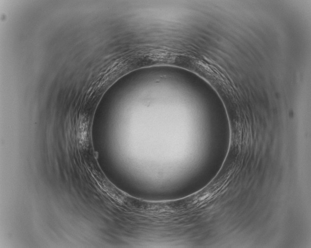 X0000087391154200704201235