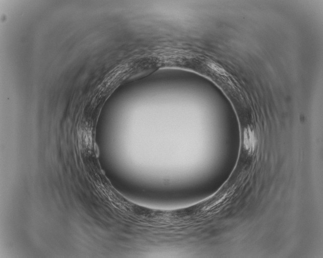 X0000087391155200704201235