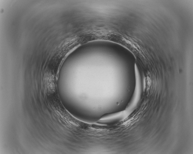 X0000087391156200704201235