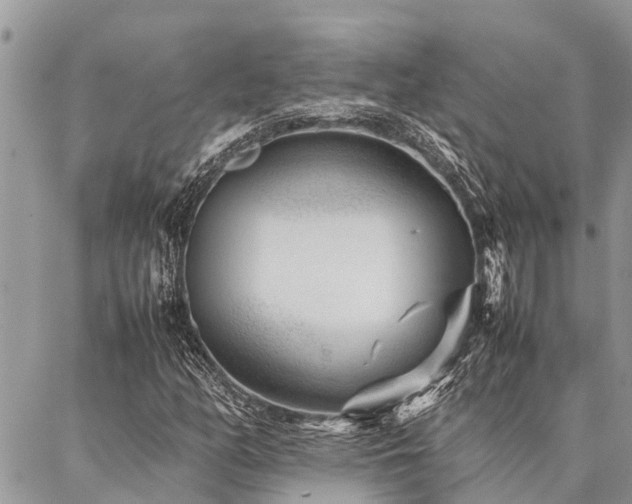 X0000087391158200704201235