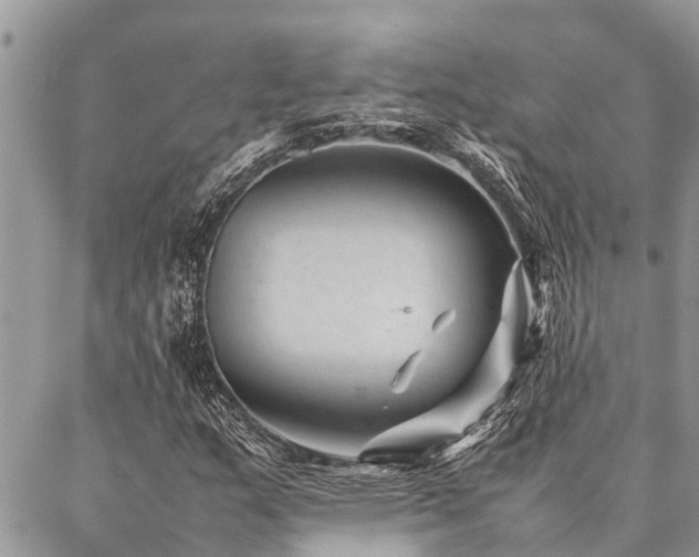 X0000087391159200704201235