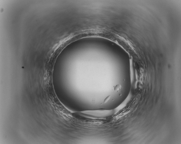 X0000087391160200704201235