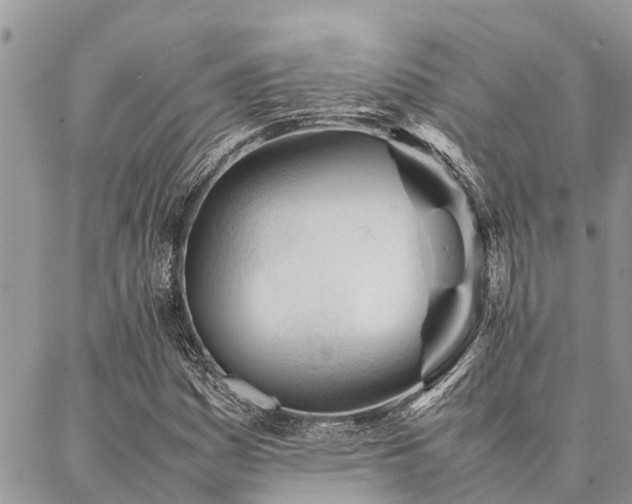 X0000087391161200704201235