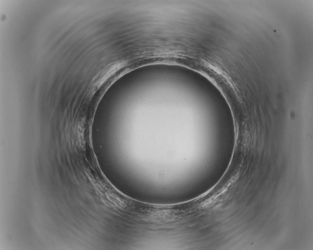 X0000087391162200704201235