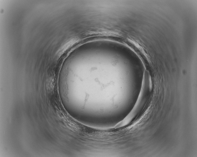 X0000087391163200704201235