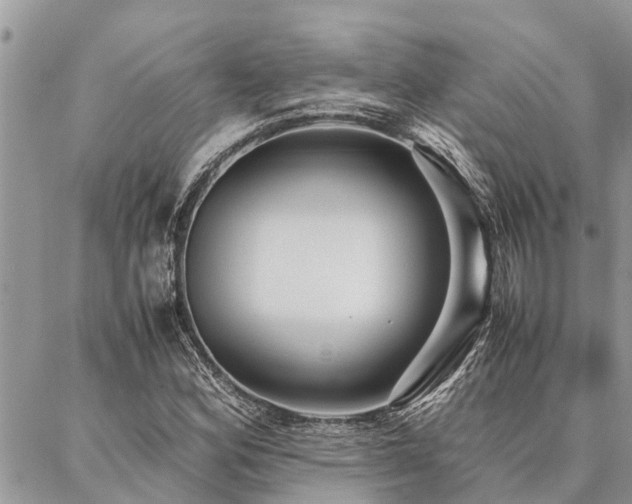 X0000087391164200704201235