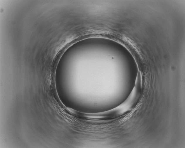 X0000087391165200704201235