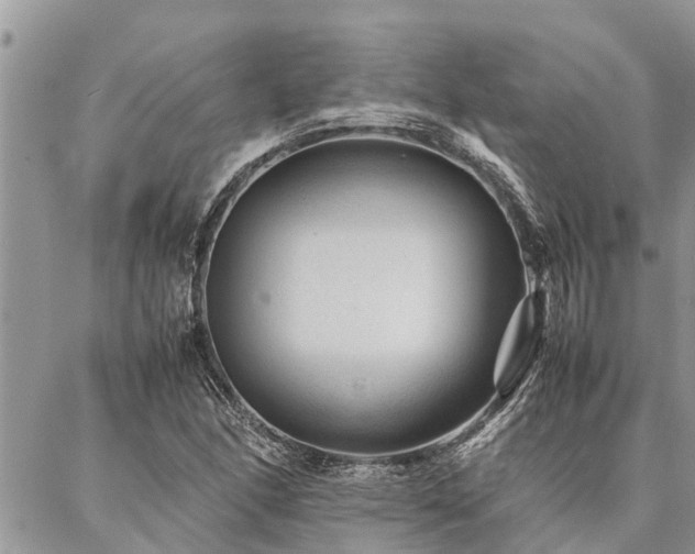 X0000087391166200704201235