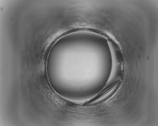 X0000087391167200704201235