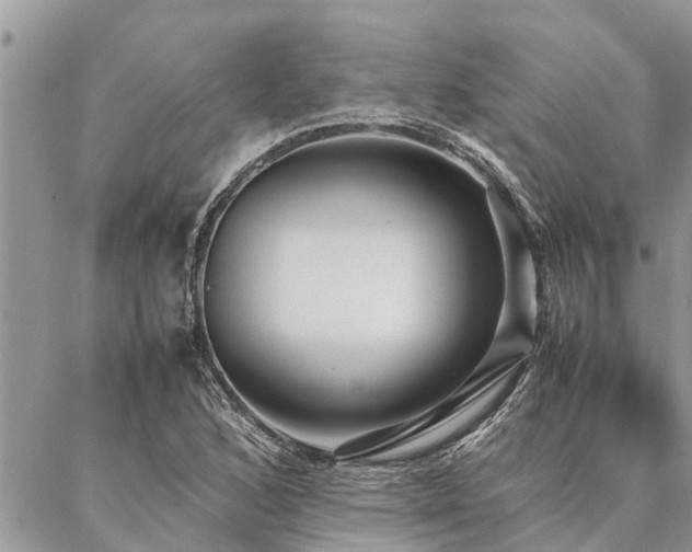 X0000087391168200704201235