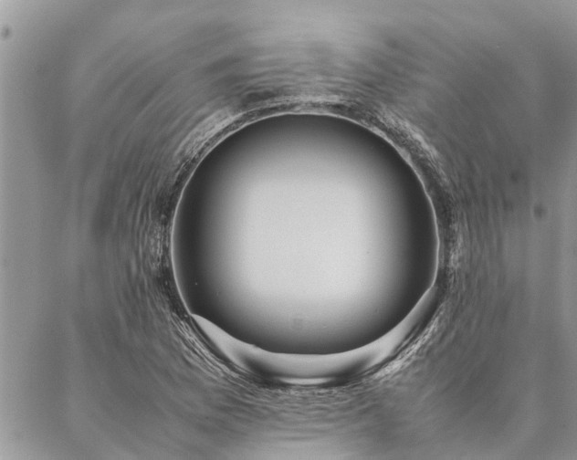 X0000087391169200704201235