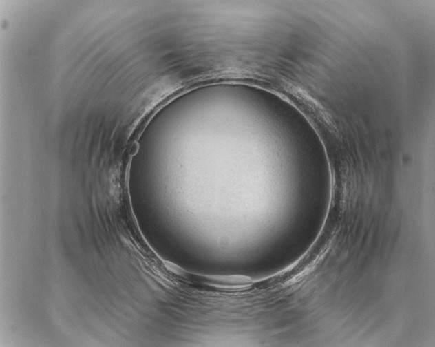 X0000087391170200704201235