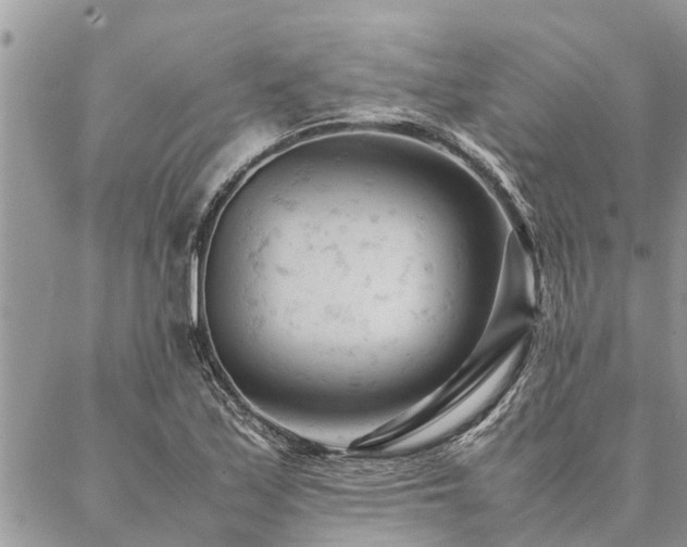 X0000087391171200704201235