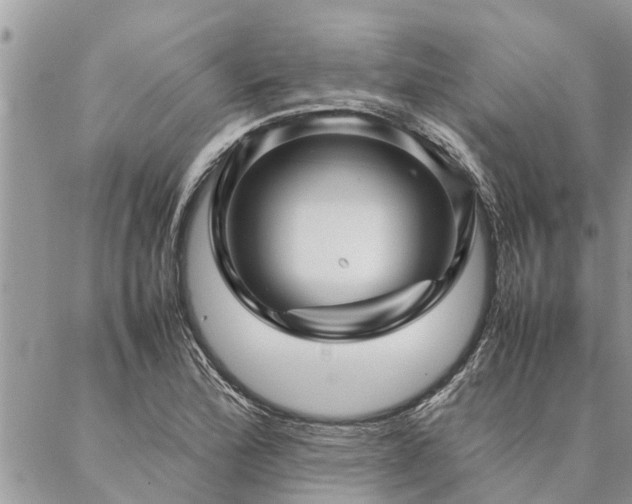 X0000087391172200704201235