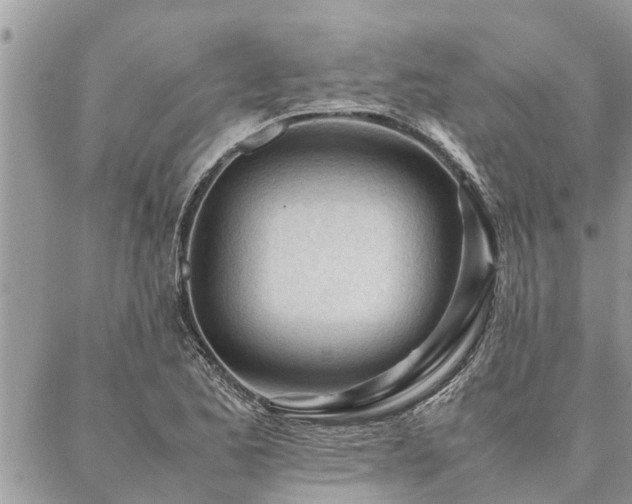 X0000087391173200704201235