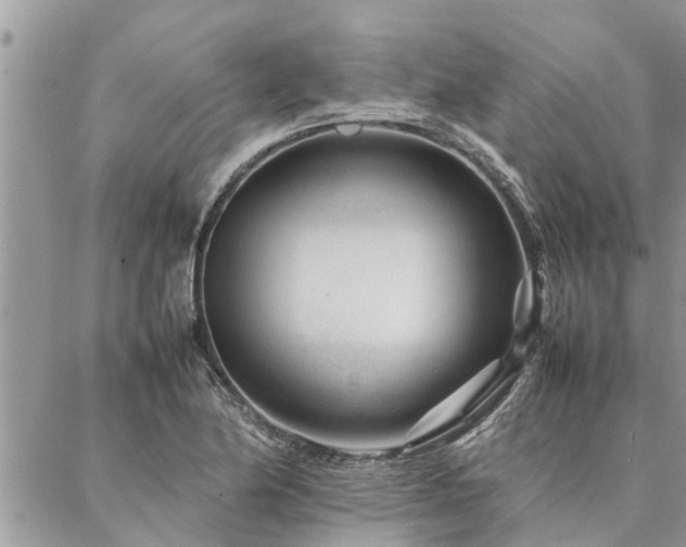 X0000087391174200704201235