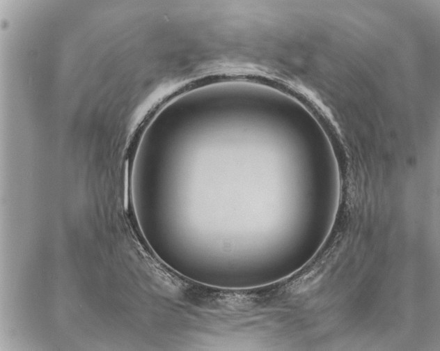 X0000087391175200704201235