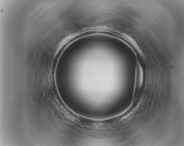 X0000087391176200704201235