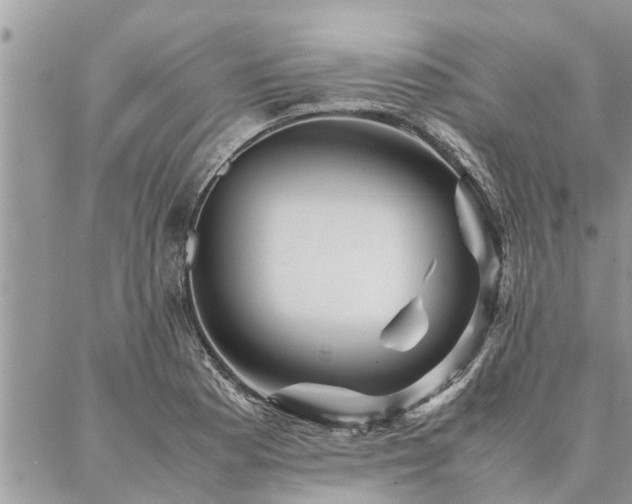 X0000087391177200704201235