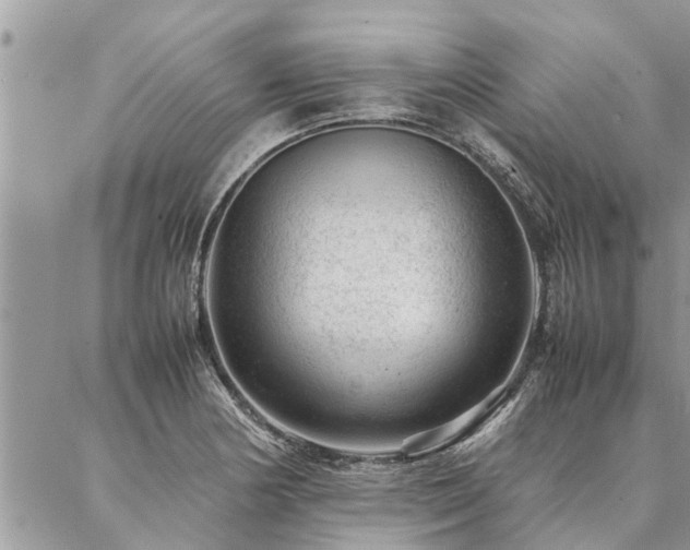 X0000087391178200704201235