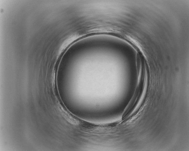 X0000087391179200704201235