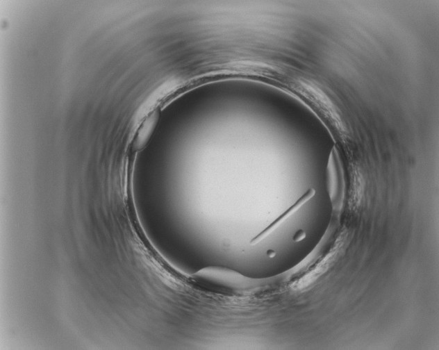 X0000087391180200704201235